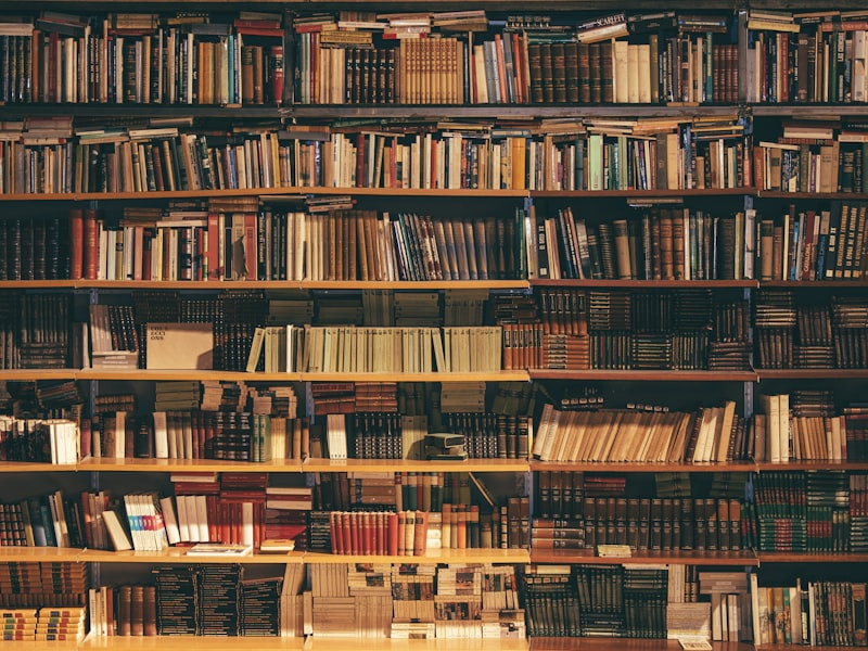 Literasi Digital dan Perpustakaan Modern